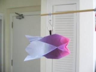 Hang Fish