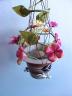 Flowerpot